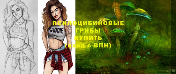 спайс Заводоуковск