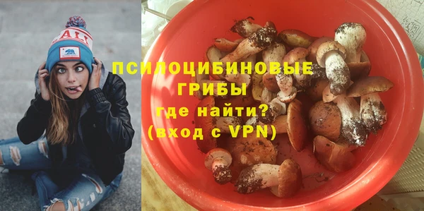 дживик Заволжск